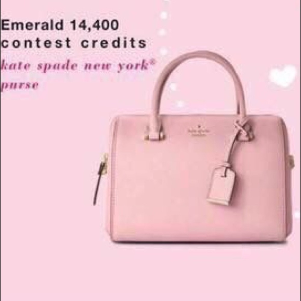 Mary Kay Kate Spade purse